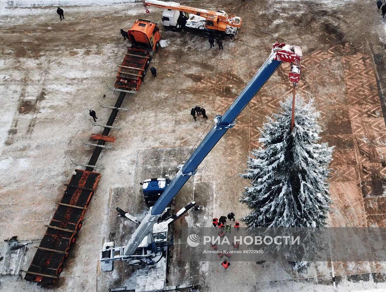 Рубка главной новогодней елки страны в Подмосковье