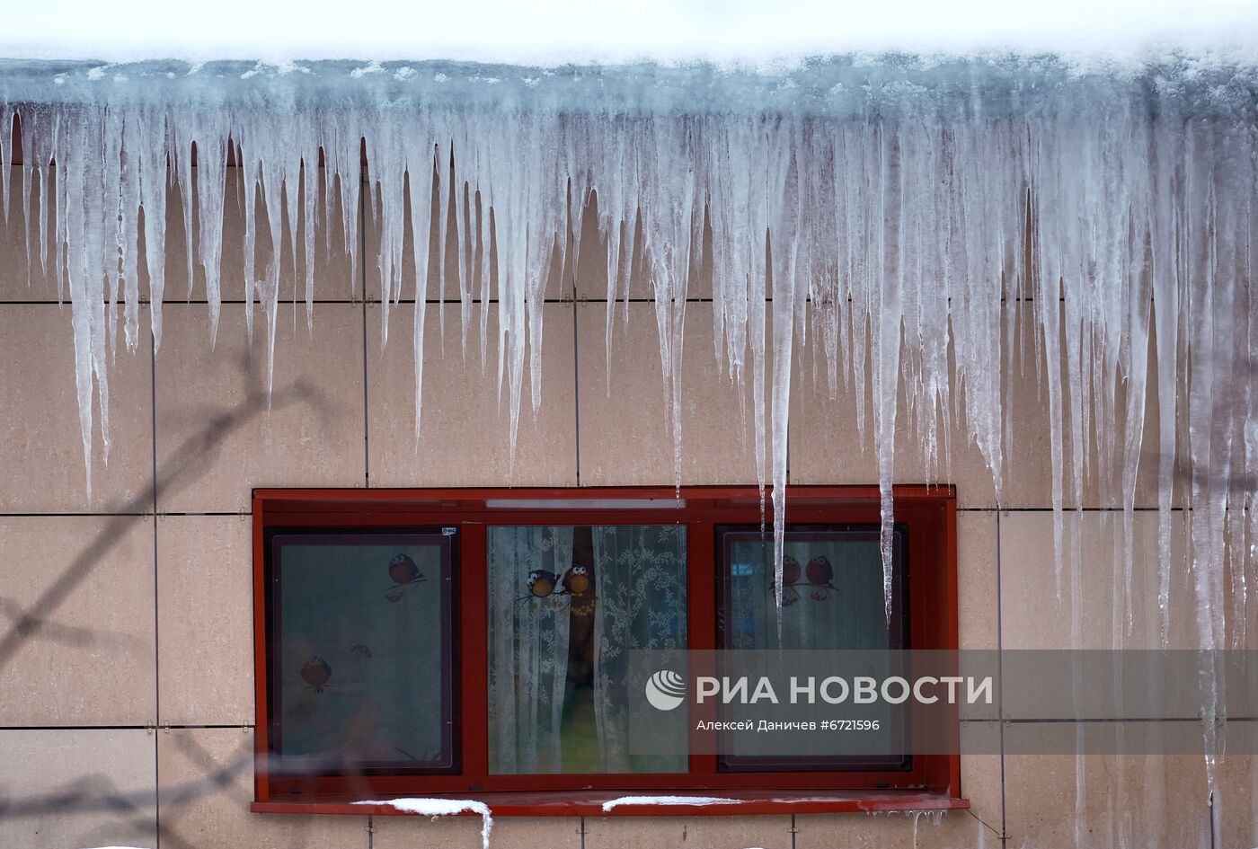 ФОТО НЕДЕЛИ