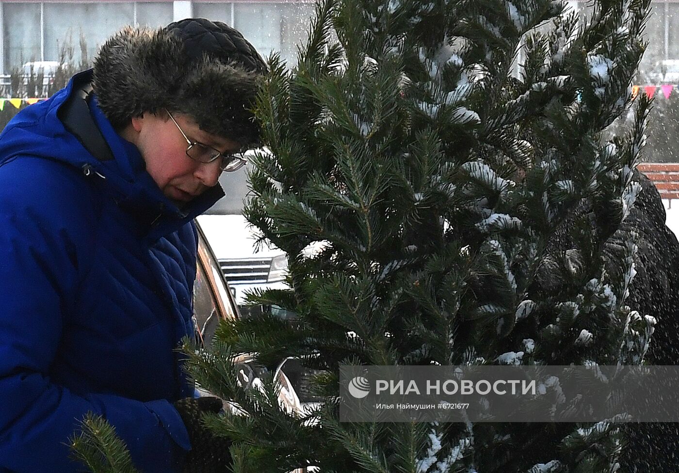 Елочные базары в Красноярске