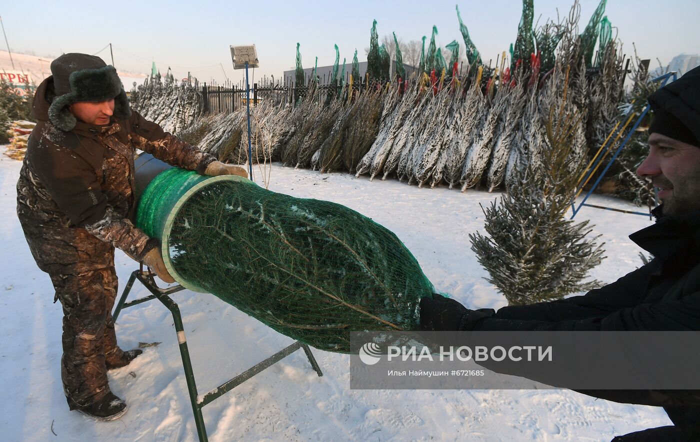 Елочные базары в Красноярске