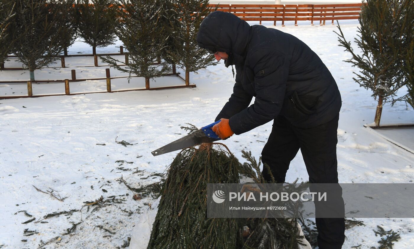 Елочные базары в Красноярске