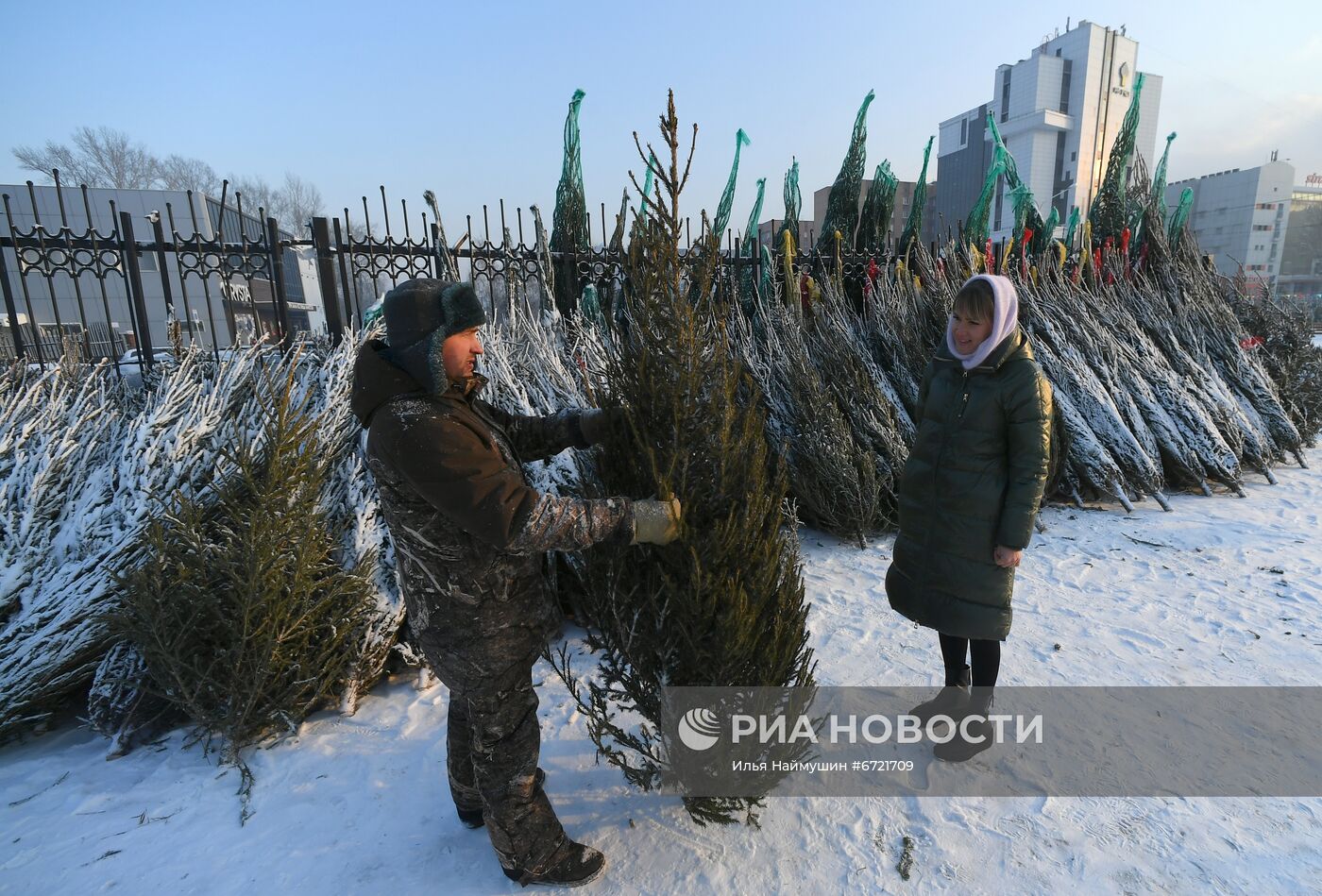 Елочные базары в Красноярске