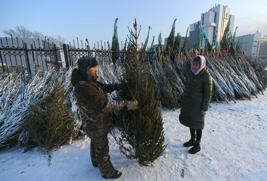 Елочные базары в Красноярске