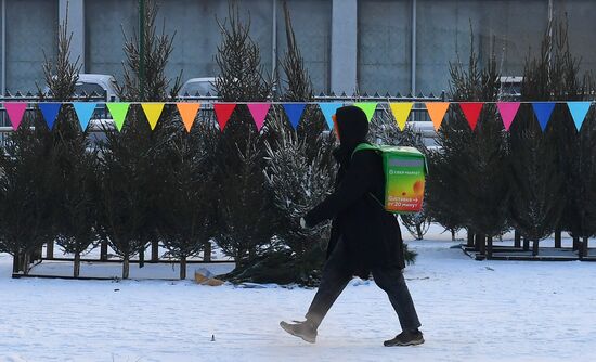 Елочные базары в Красноярске