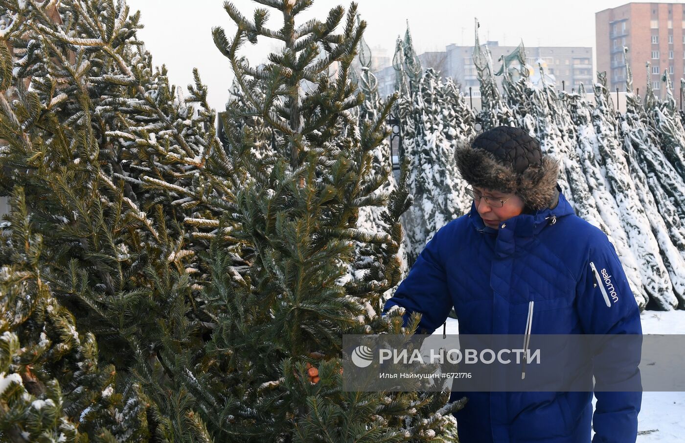 Елочные базары в Красноярске