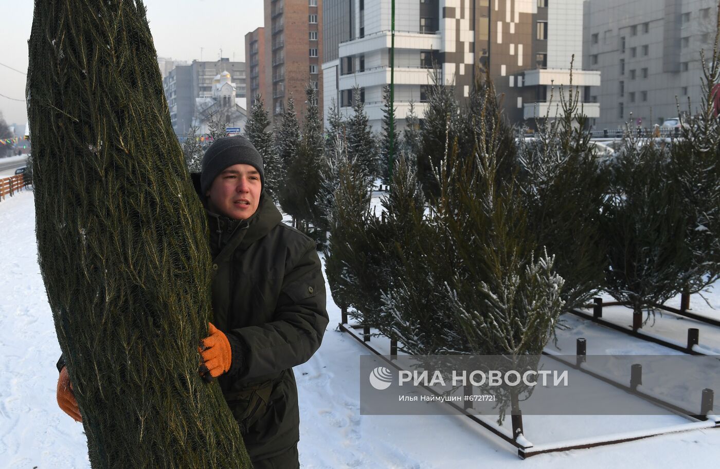 Елочные базары в Красноярске