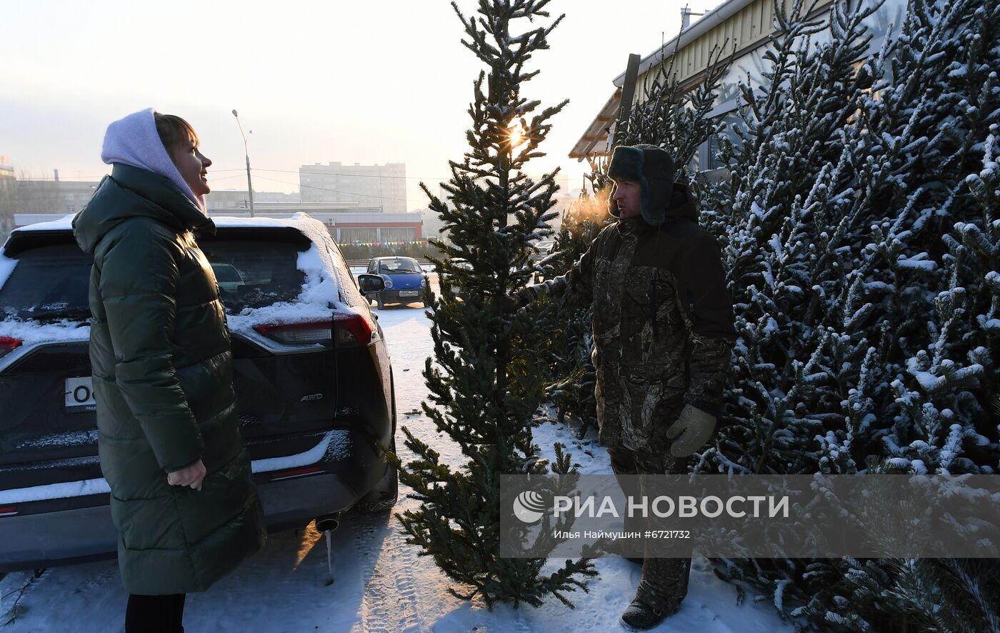 Елочные базары в Красноярске