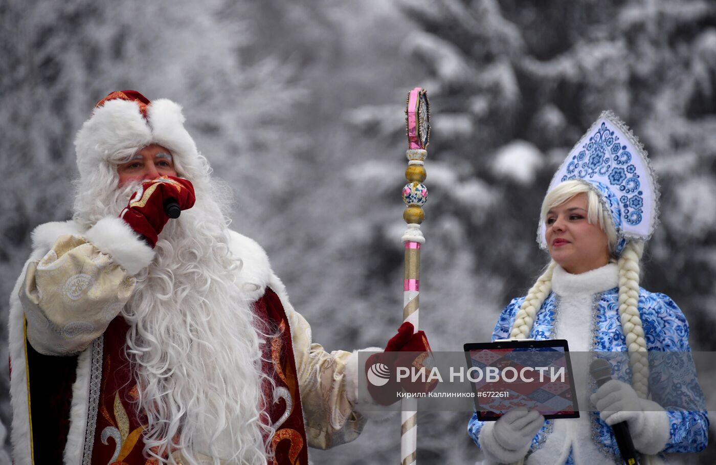 Отправка новогодней елки в Кремль