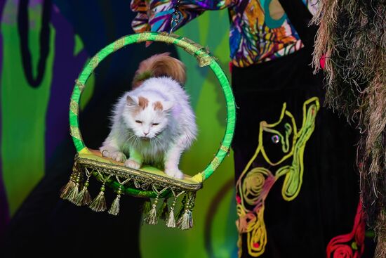 Показ новогоднего спектакля "Мяугли" в Театре кошек Куклачева