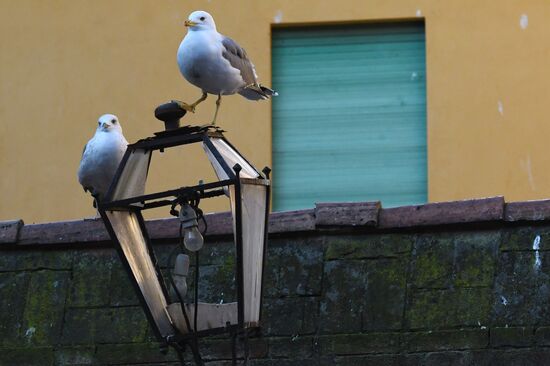 Города мира. Венеция