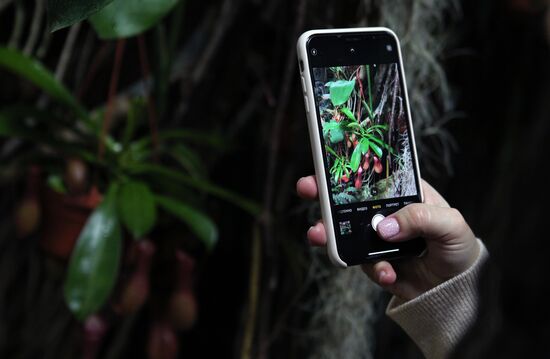 Фестиваль "Тропическая зима" 