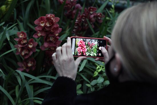 Фестиваль "Тропическая зима" 