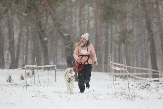 "Хаски-Trail" в Белгороде