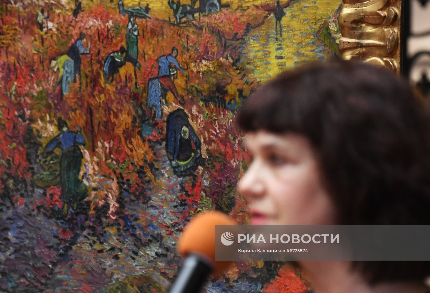 П/к, посвященная итогам изучения и консервации картины "Красные виноградники в Арле. Монмажур"