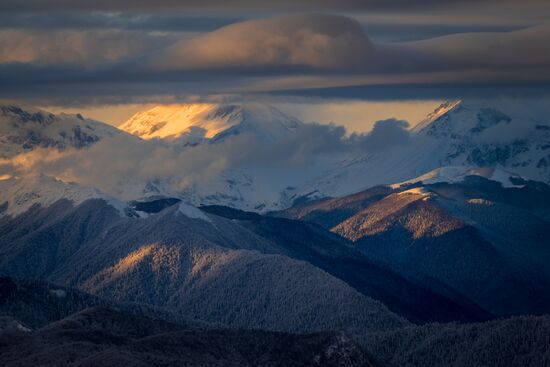 Фото недели