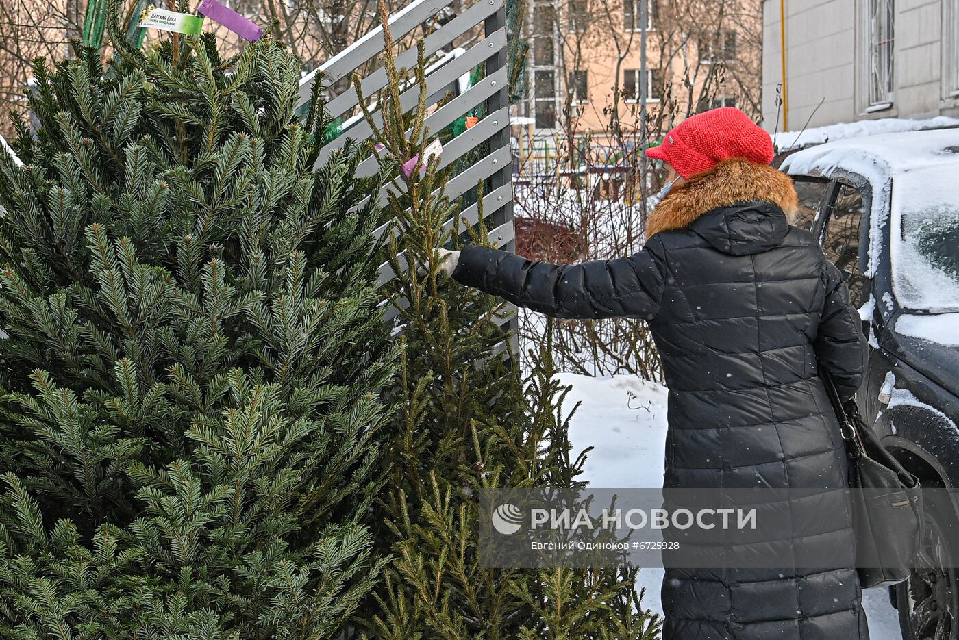 Елочные базары открылись в Москве