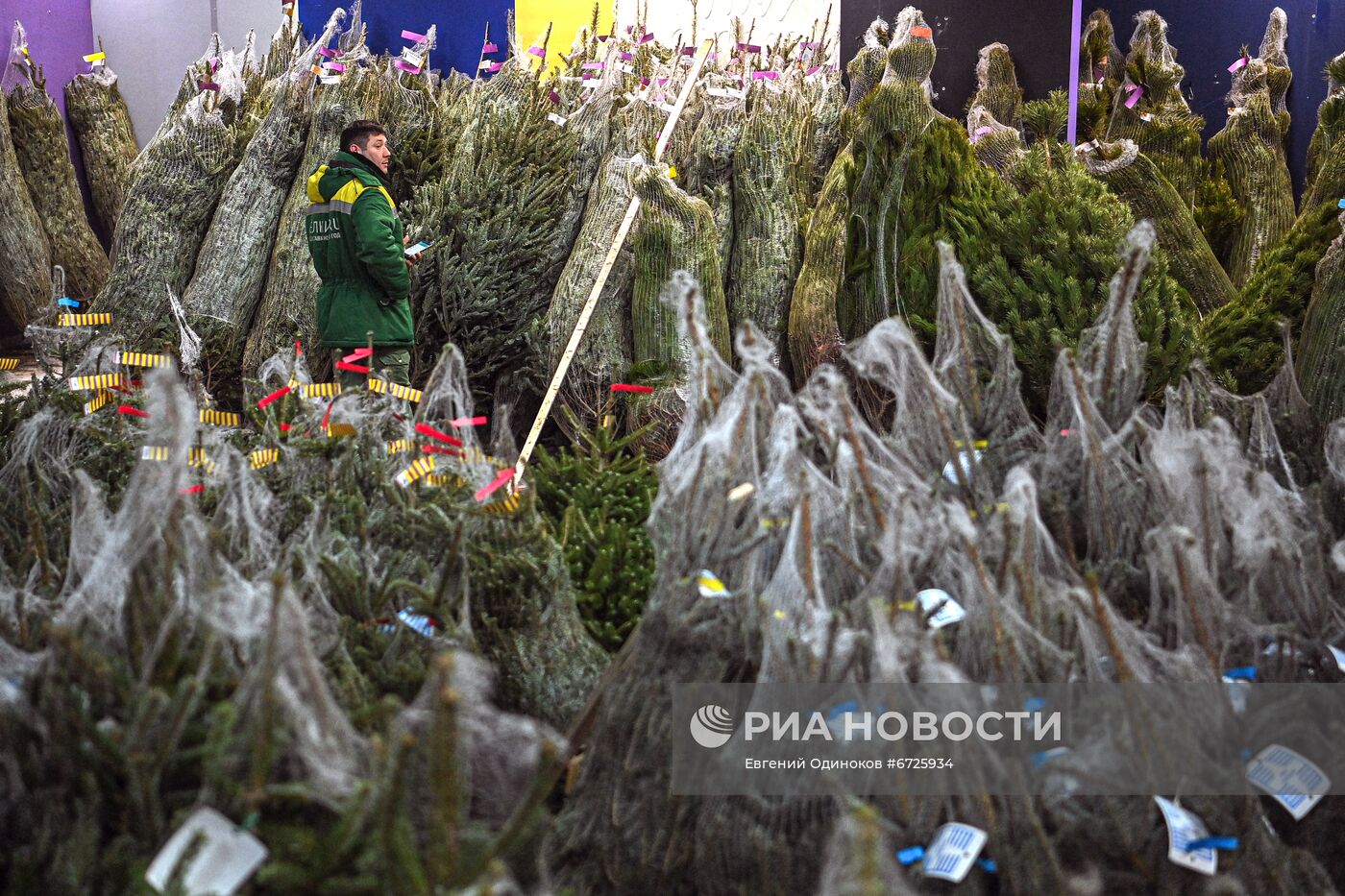 Елочные базары открылись в Москве