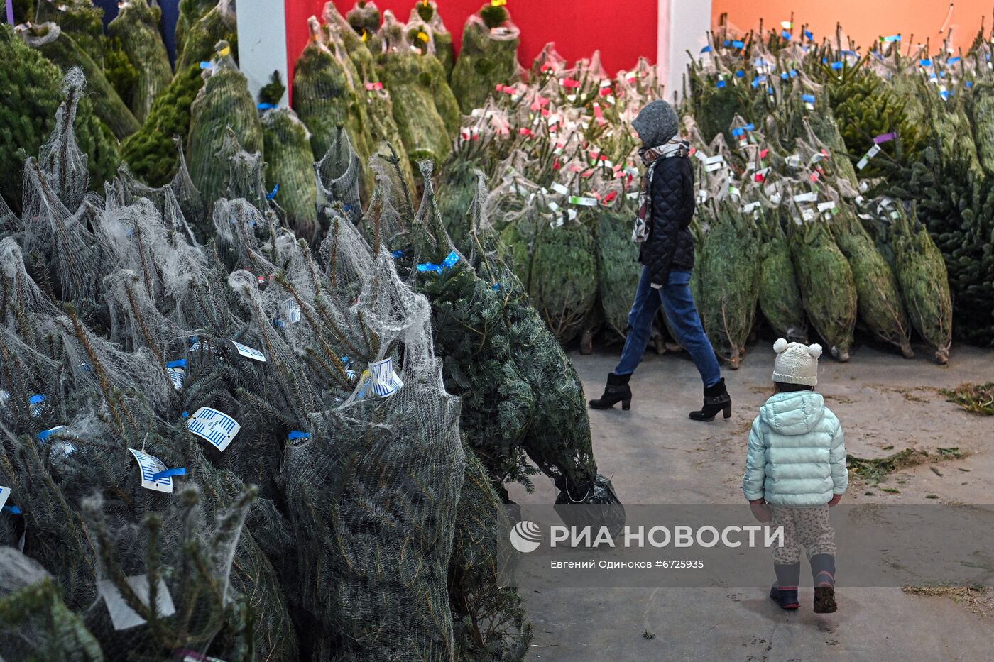 Елочные базары открылись в Москве