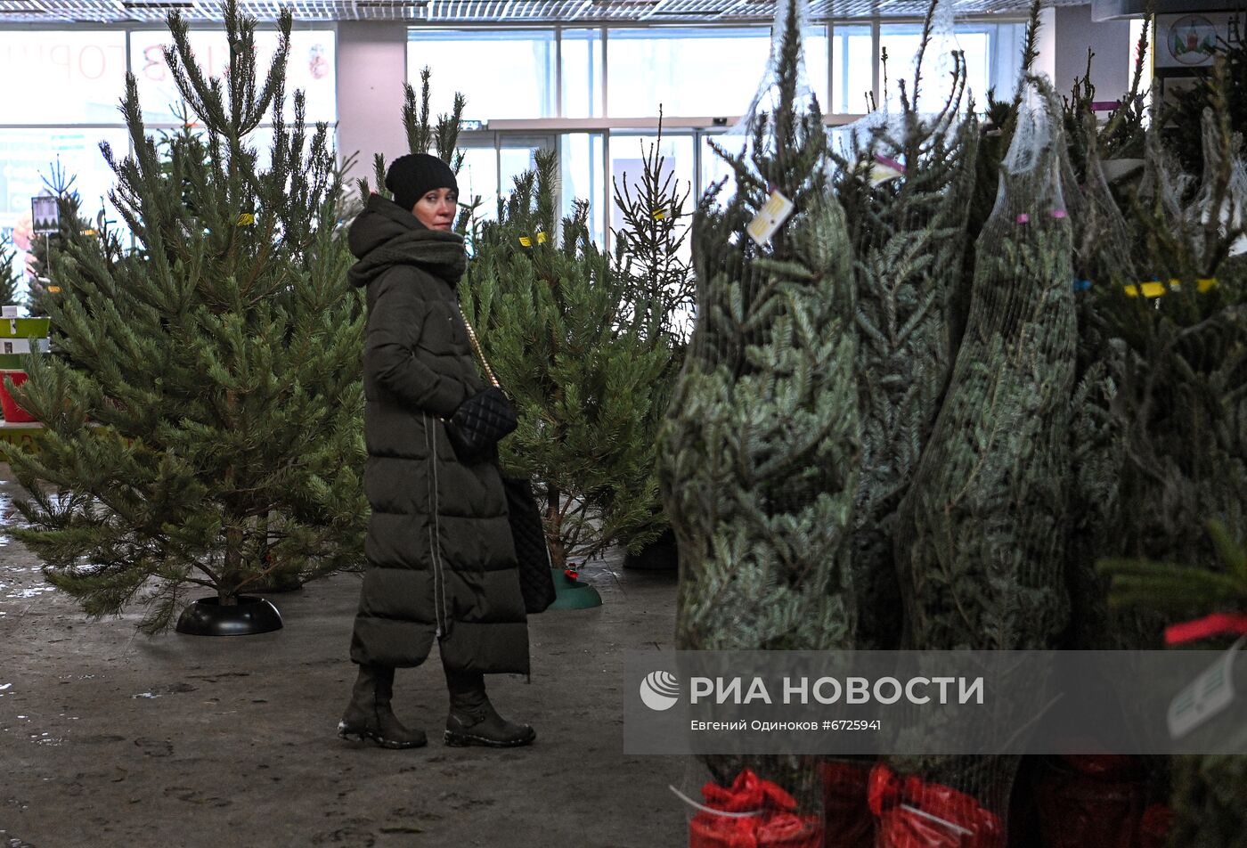 Елочные базары открылись в Москве