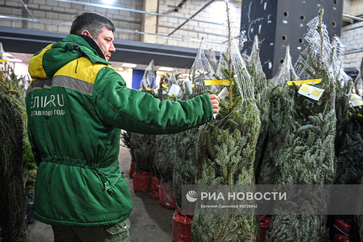 Елочные базары открылись в Москве