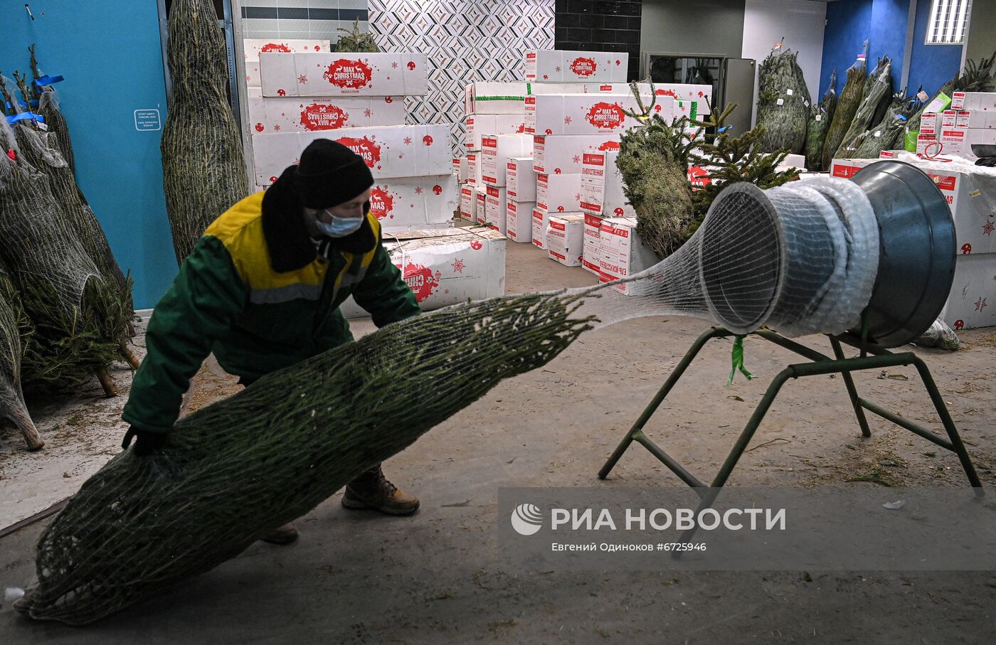 Елочные базары открылись в Москве