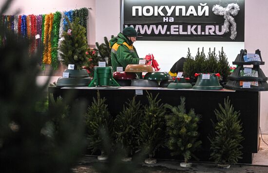 Елочные базары открылись в Москве