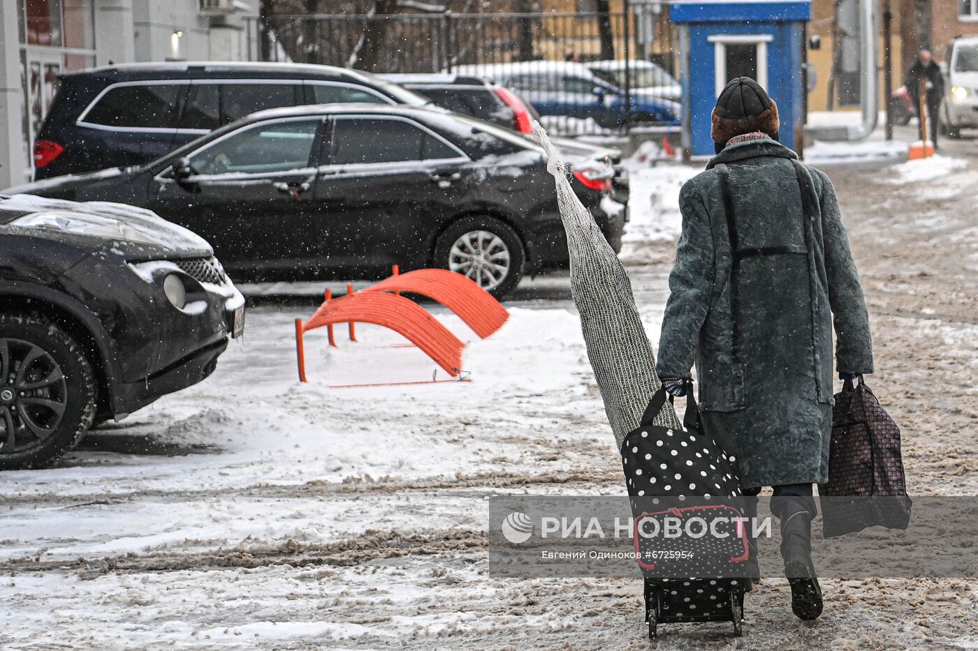 Елочные базары открылись в Москве