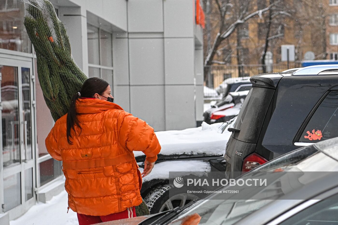 Елочные базары открылись в Москве