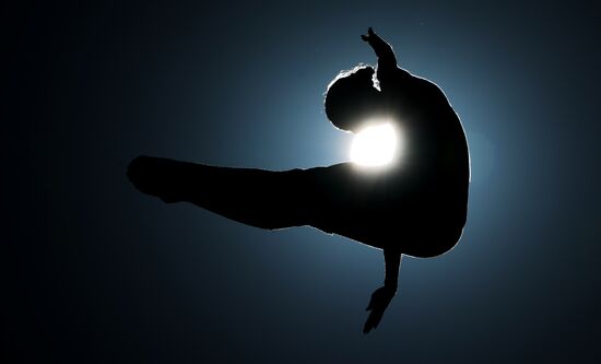 Фестиваль FINA в Абу-Даби