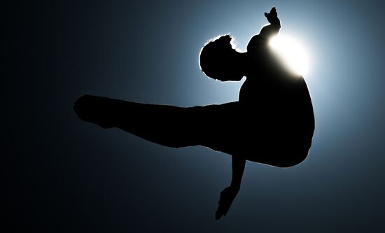 Фестиваль FINA в Абу-Даби