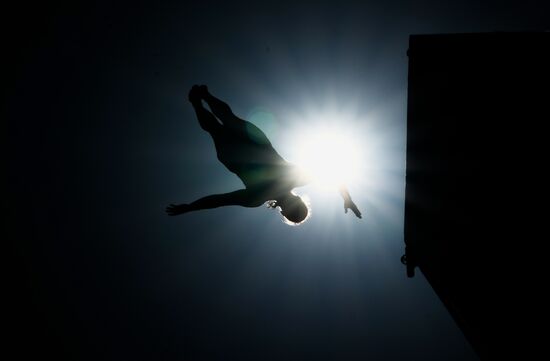 Фестиваль FINA в Абу-Даби