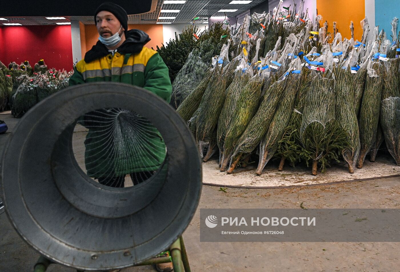 Елочные базары открылись в Москве