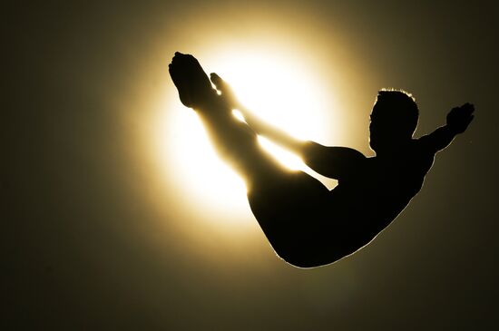 Фестиваль FINA в Абу-Даби