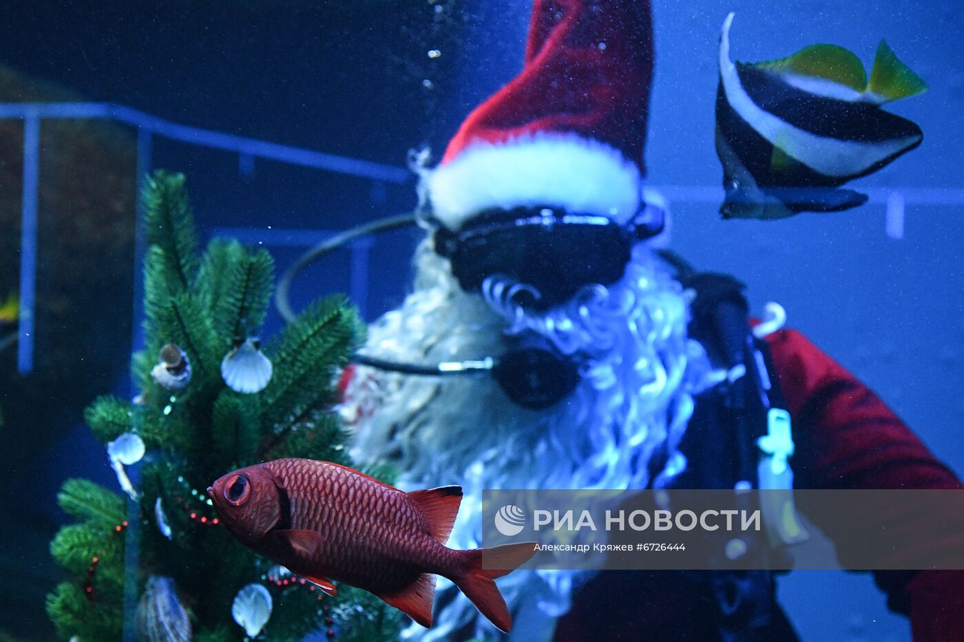 Дайвер в костюме Санта Клауса в Новосибирске