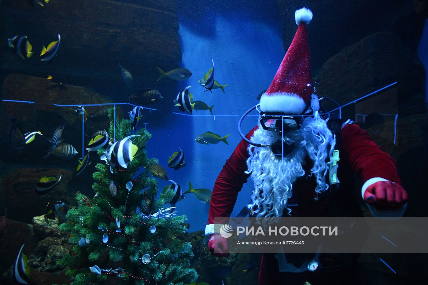 Дайвер в костюме Санта Клауса в Новосибирске