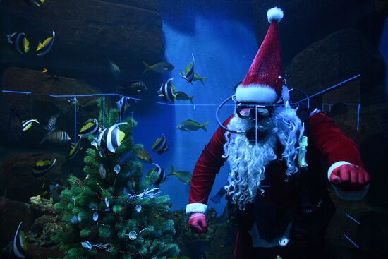 Дайвер в костюме Санта Клауса в Новосибирске