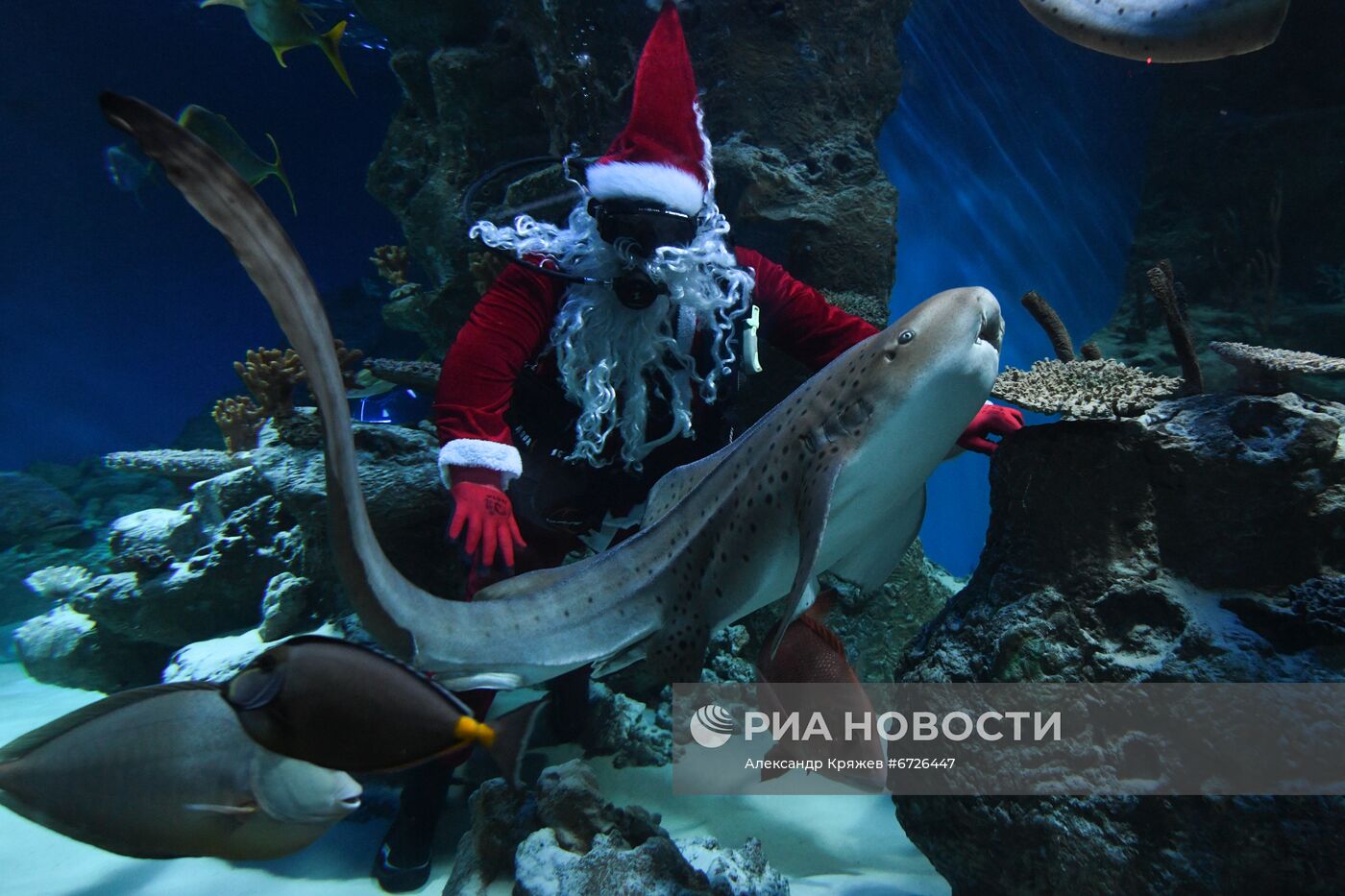 Дайвер в костюме Санта Клауса в Новосибирске