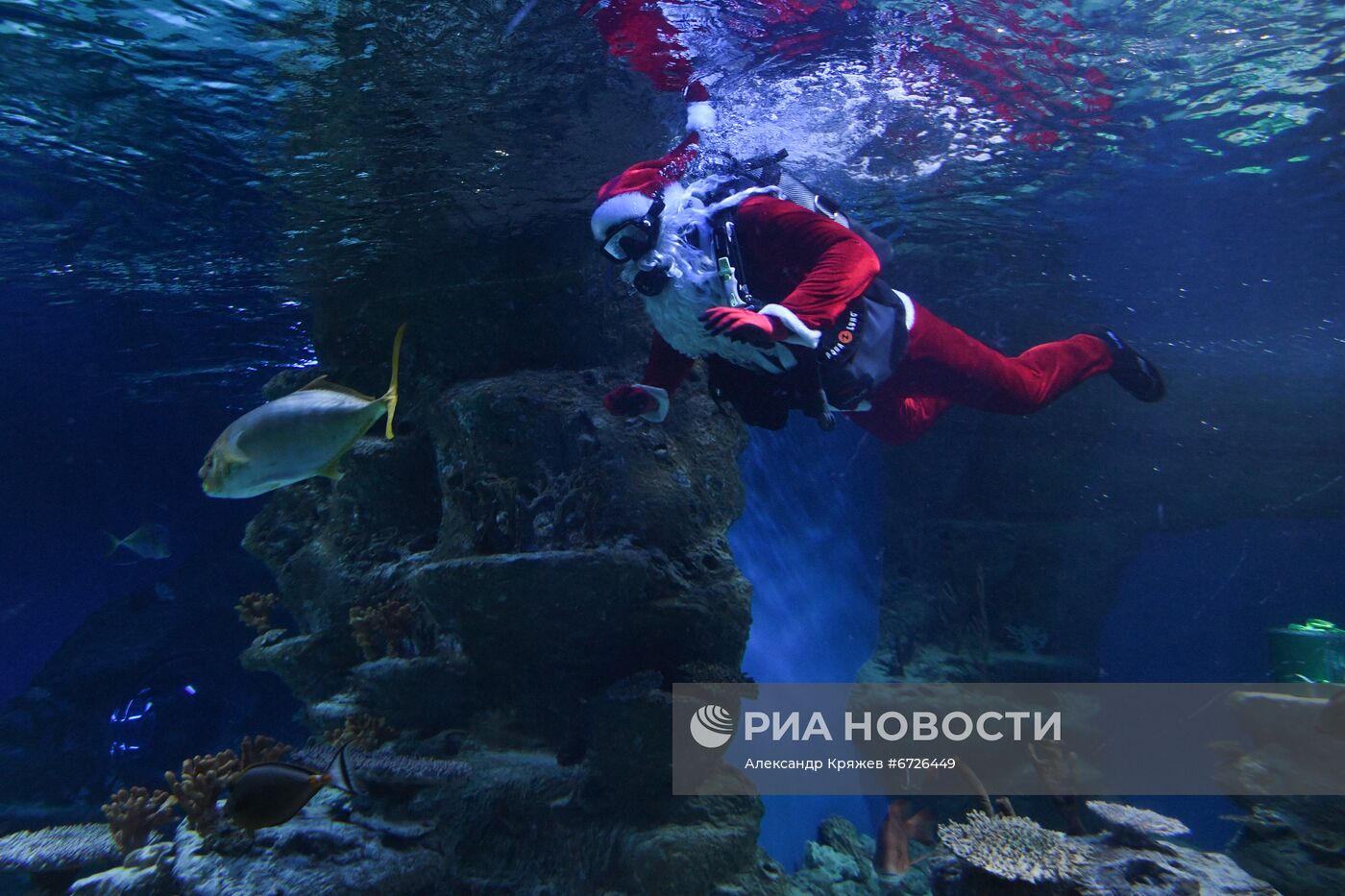 Дайвер в костюме Санта Клауса в Новосибирске