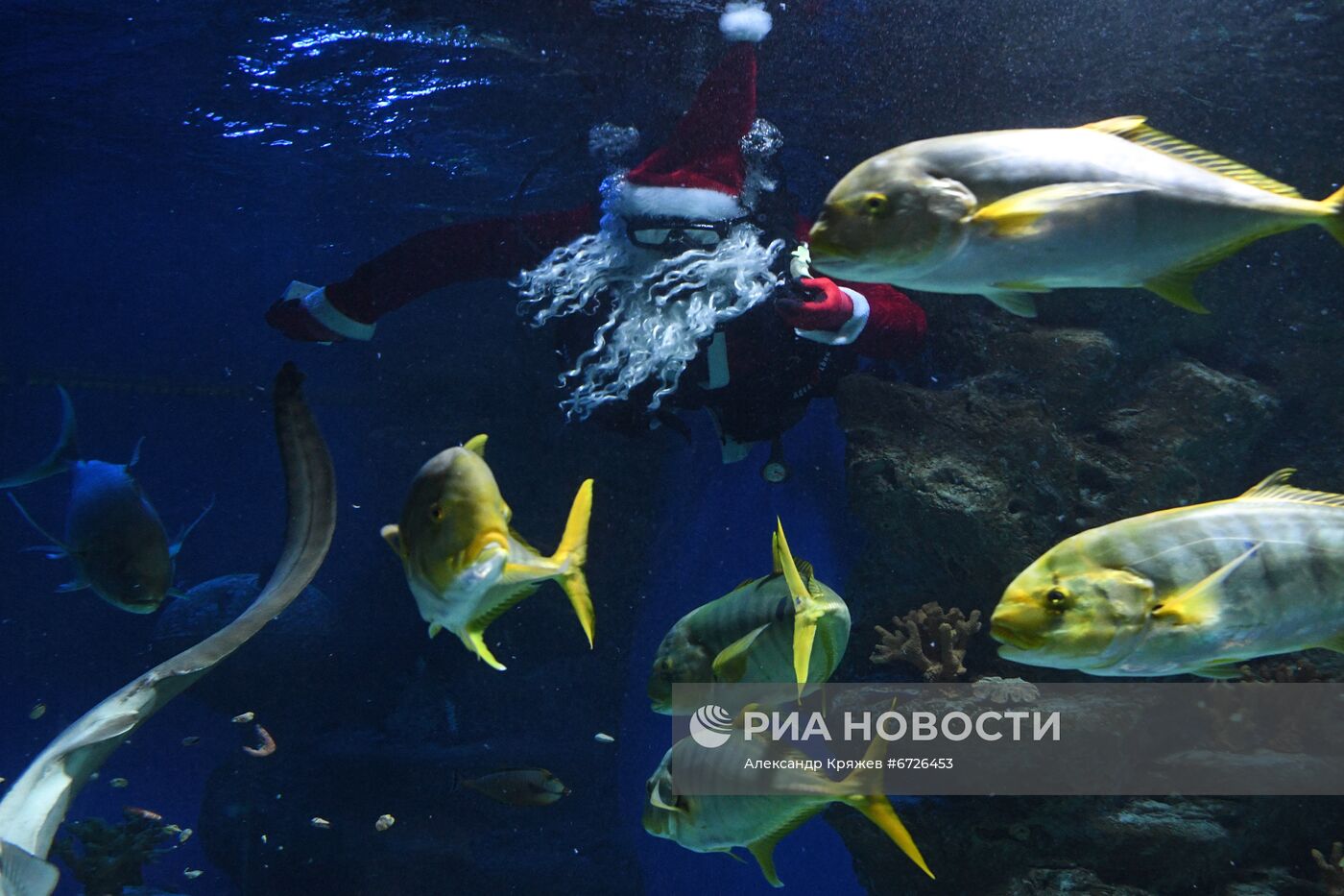 Дайвер в костюме Санта Клауса в Новосибирске