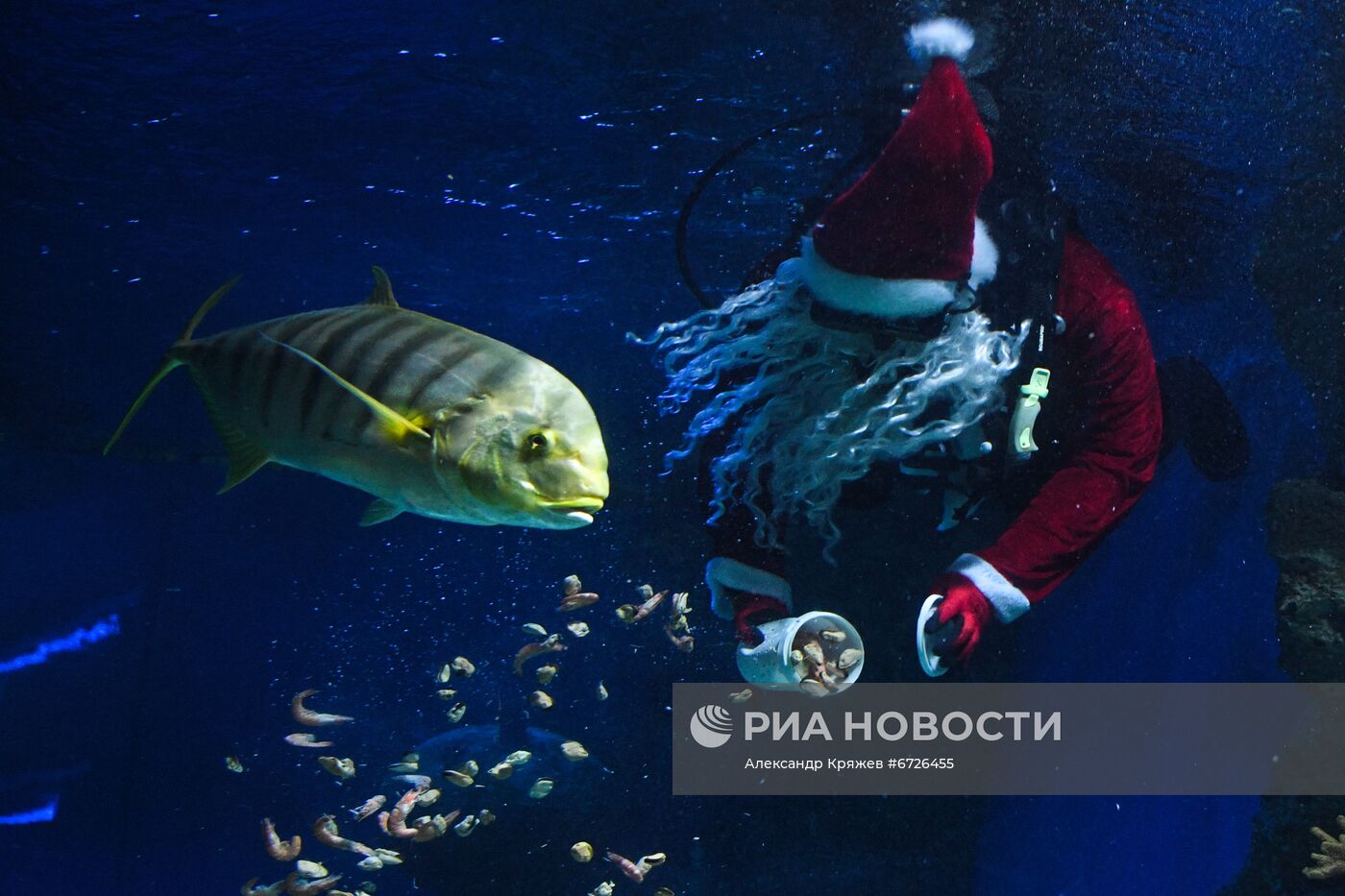 Дайвер в костюме Санта Клауса в Новосибирске
