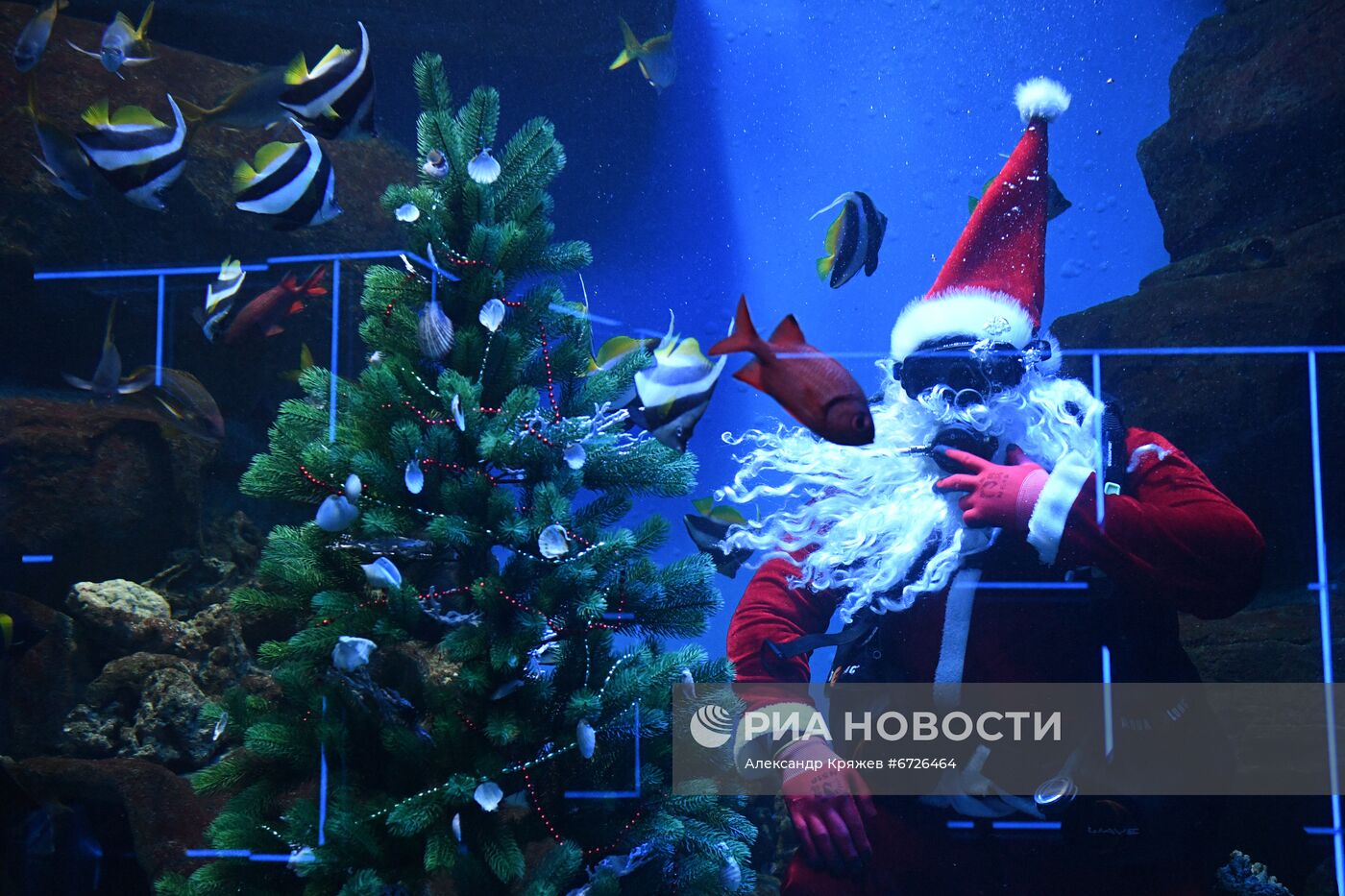 Дайвер в костюме Санта Клауса в Новосибирске