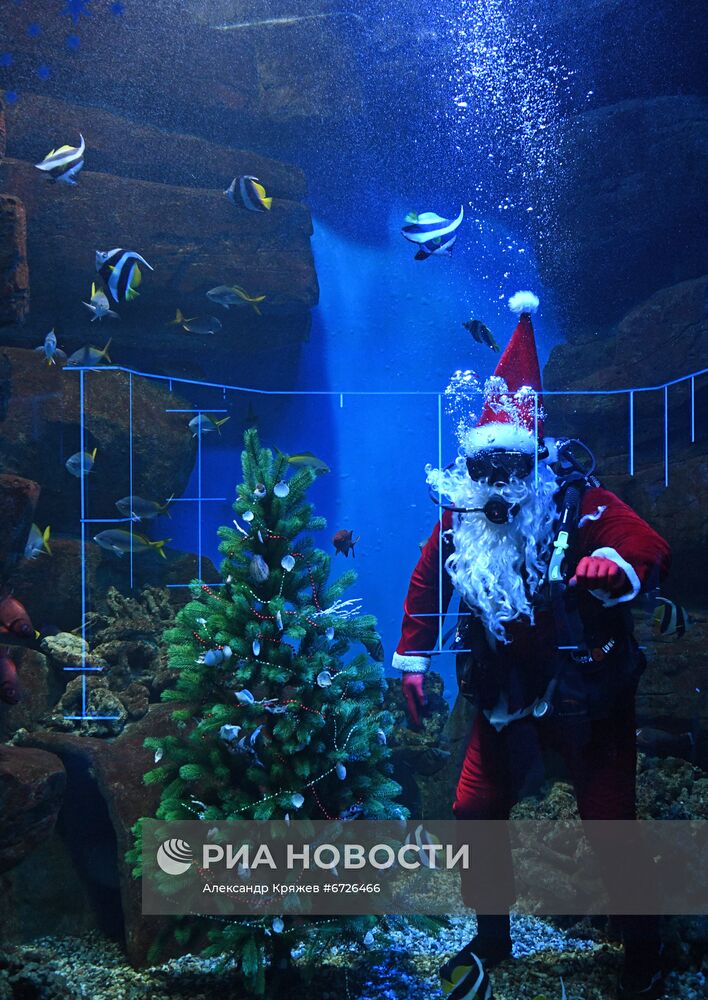 Дайвер в костюме Санта Клауса в Новосибирске