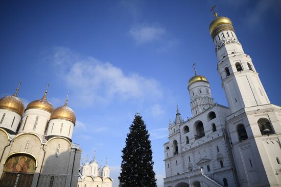 Главная новогодняя елка страны на Соборной площади Кремля