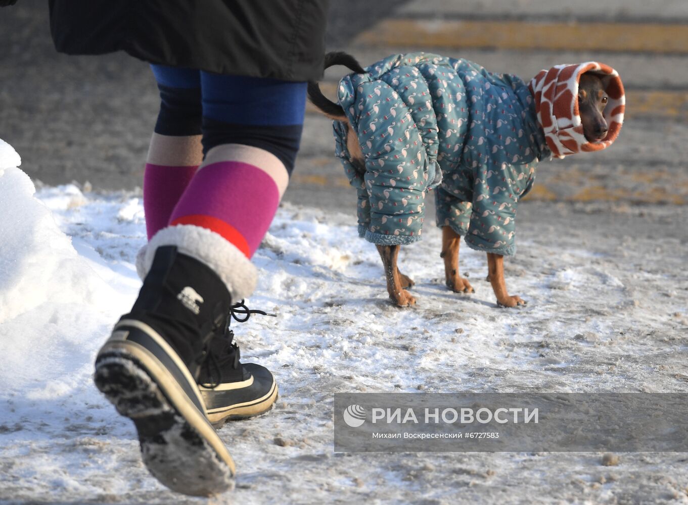 Морозы в Москве