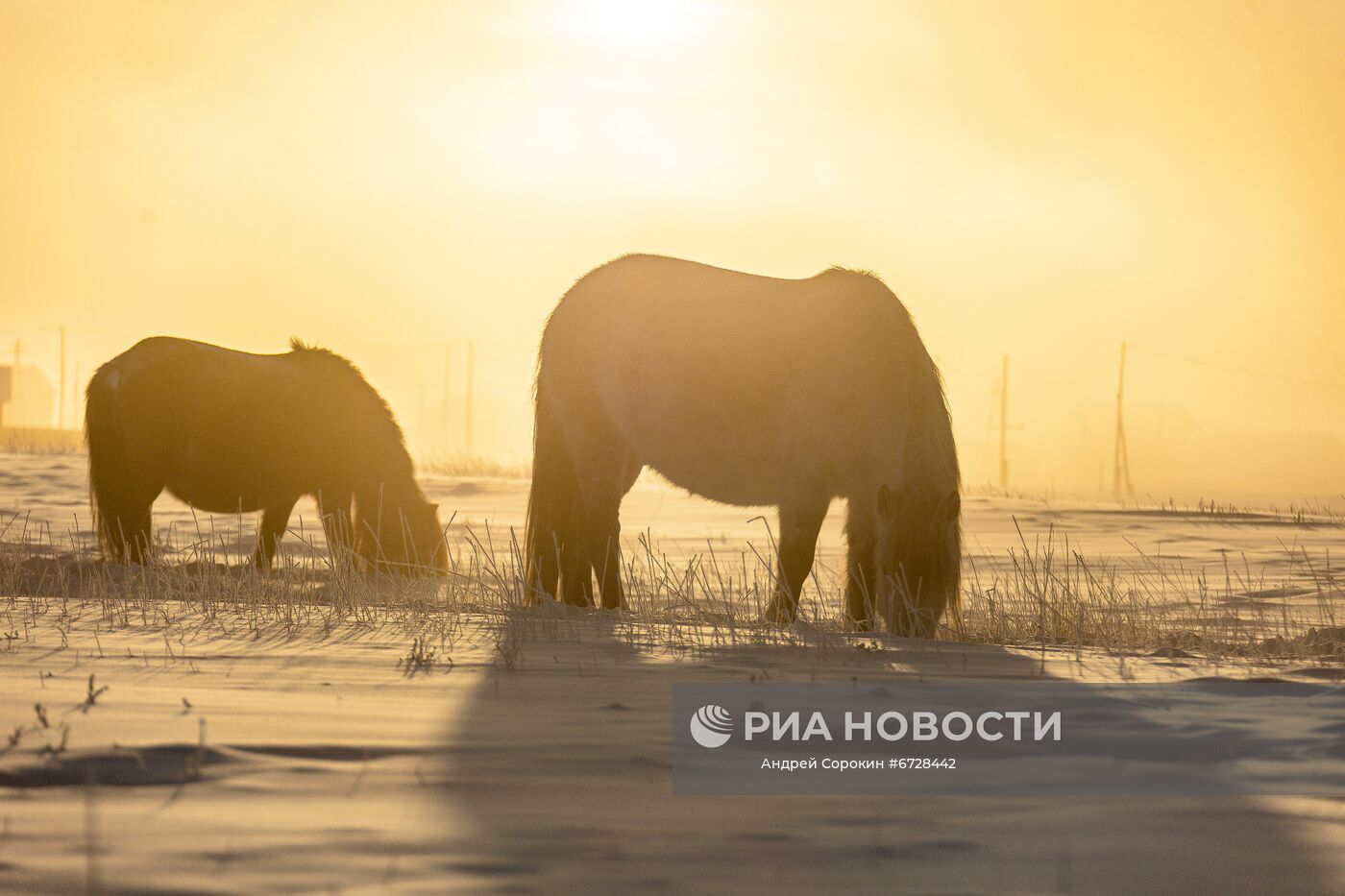 Морозы в Якутии