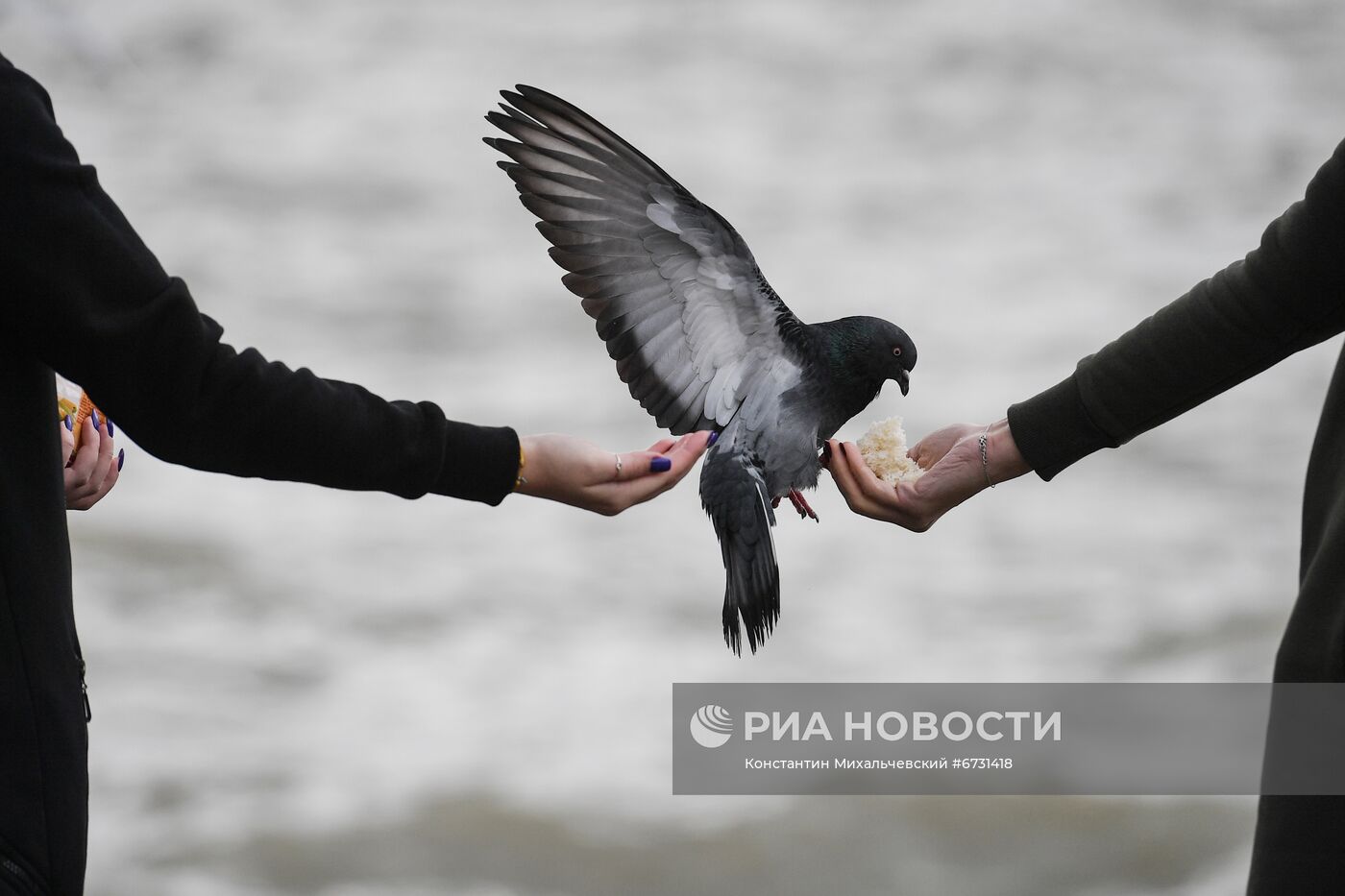Повседневная жизнь в Ялте