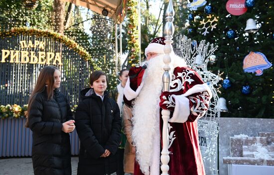 Мэр Сочи поздравил жителей с Новым годом