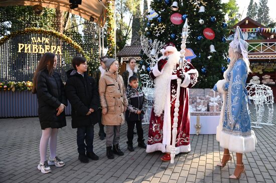 Мэр Сочи поздравил жителей с Новым годом