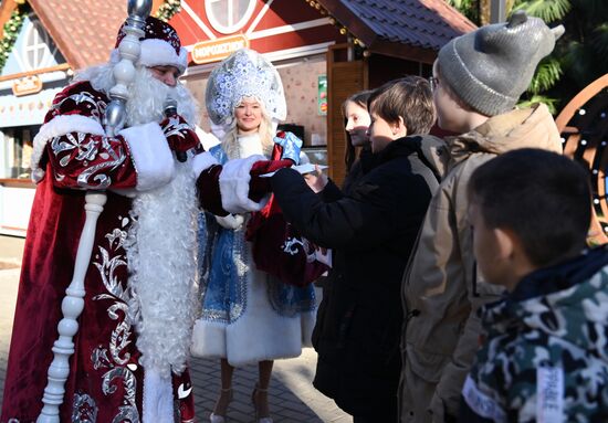 Мэр Сочи поздравил жителей с Новым годом