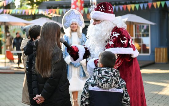 Мэр Сочи поздравил жителей с Новым годом